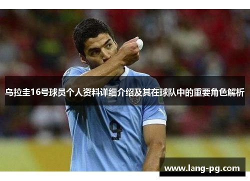 乌拉圭16号球员个人资料详细介绍及其在球队中的重要角色解析