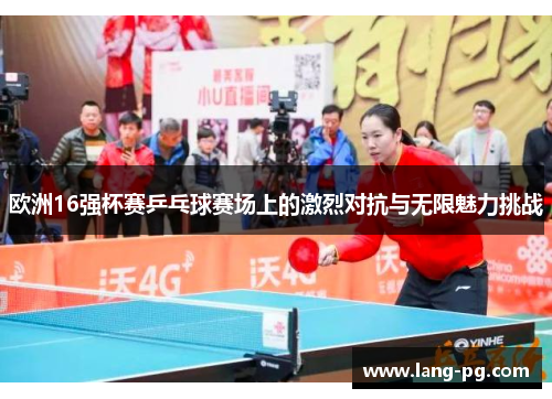 欧洲16强杯赛乒乓球赛场上的激烈对抗与无限魅力挑战
