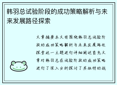 韩羽总试验阶段的成功策略解析与未来发展路径探索